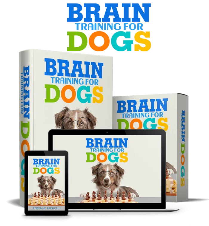 Brain Training for Dogs